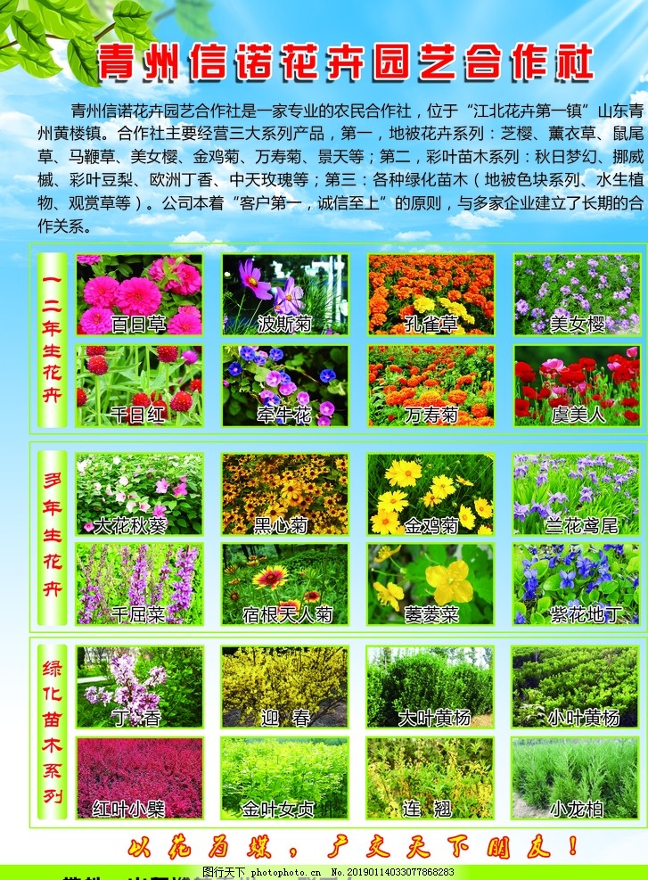 花卉推广话术 图行天下