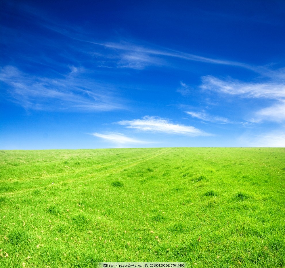 绿地控股：1月30日获融资买入214372万元