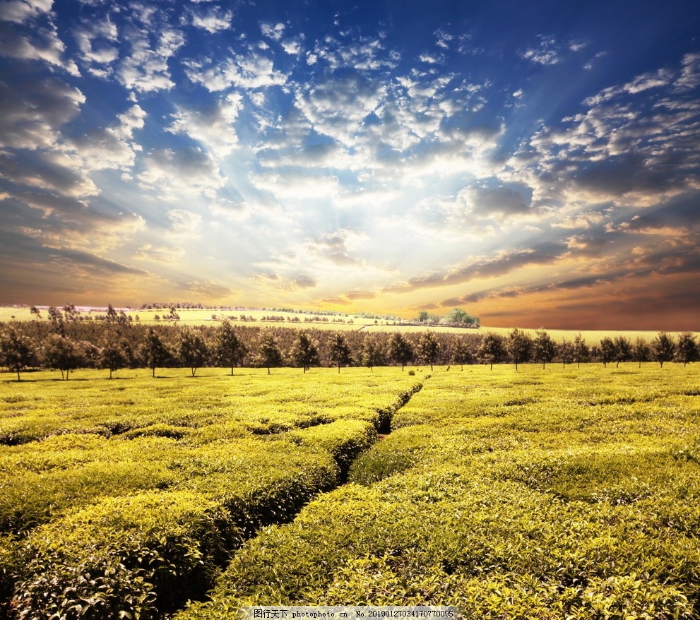 婚纱照背景图片