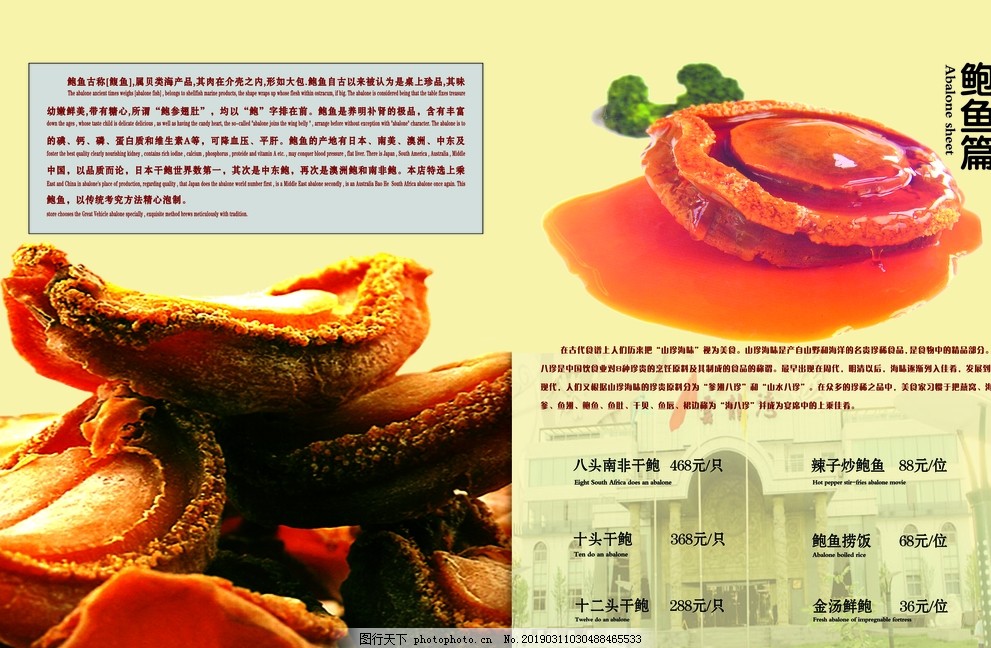 鲍鱼 鲍鱼