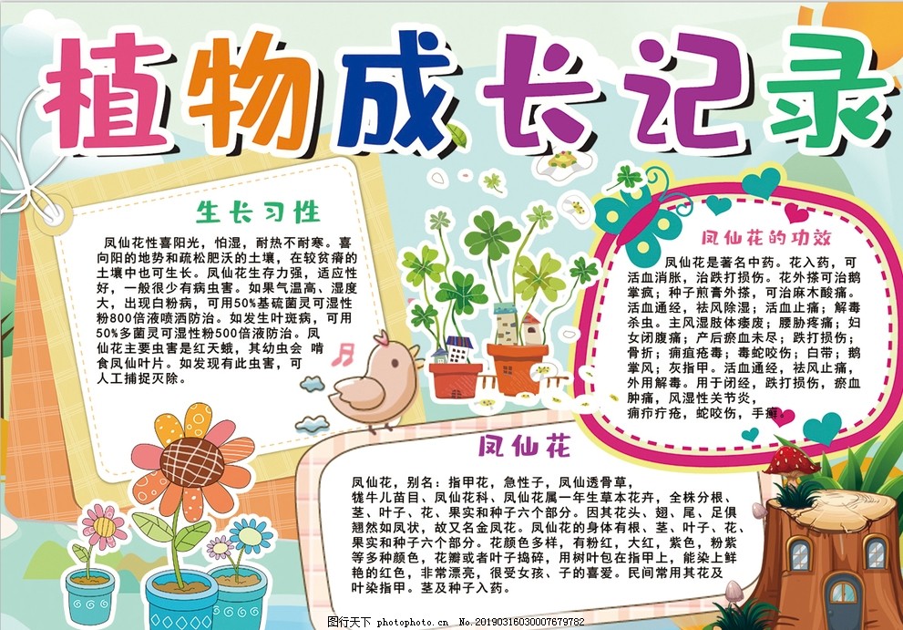 植物成长小报 植物成长小报