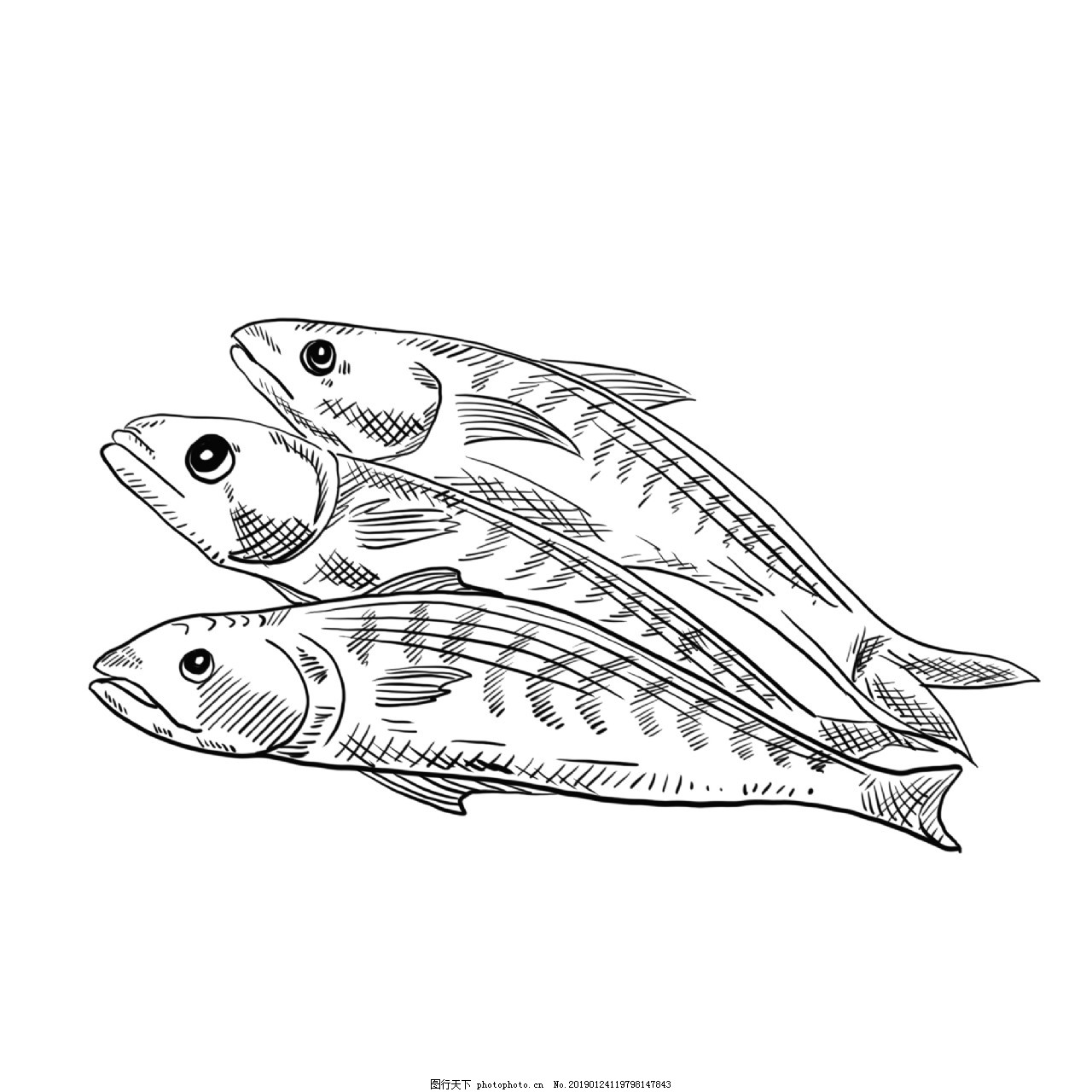 热带小鱼简笔画画法图片步骤 肉丁儿童网