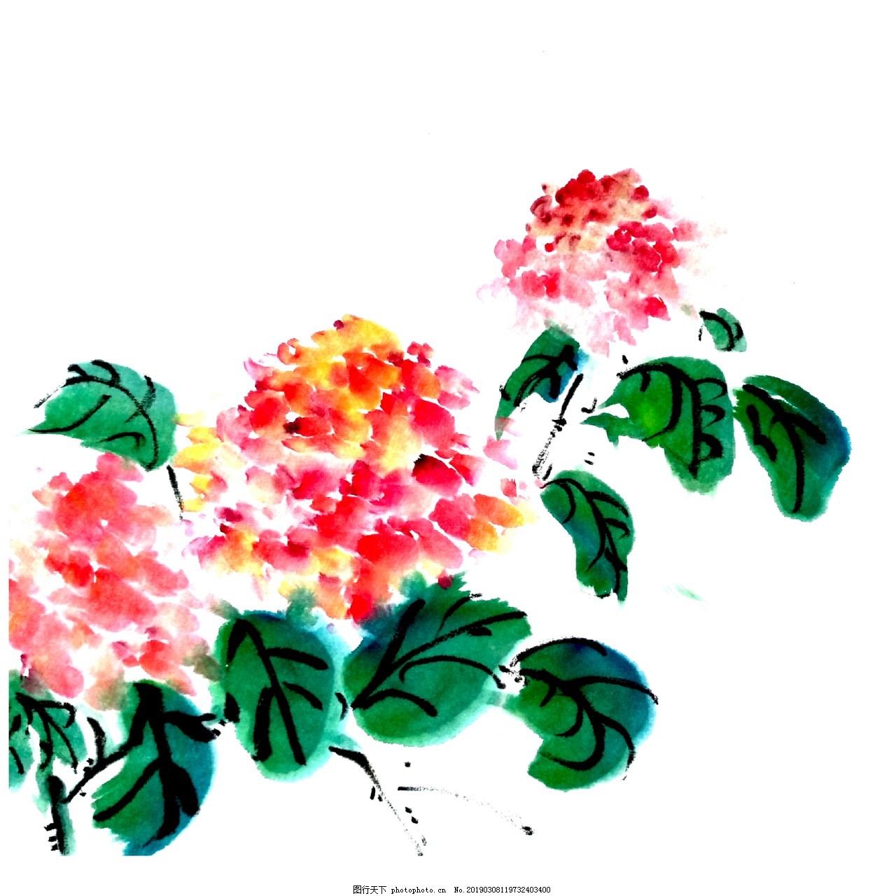 紫阳花绣球花png红色水红植物国画水墨图片 装饰图案 设计元素 图行天下素材网