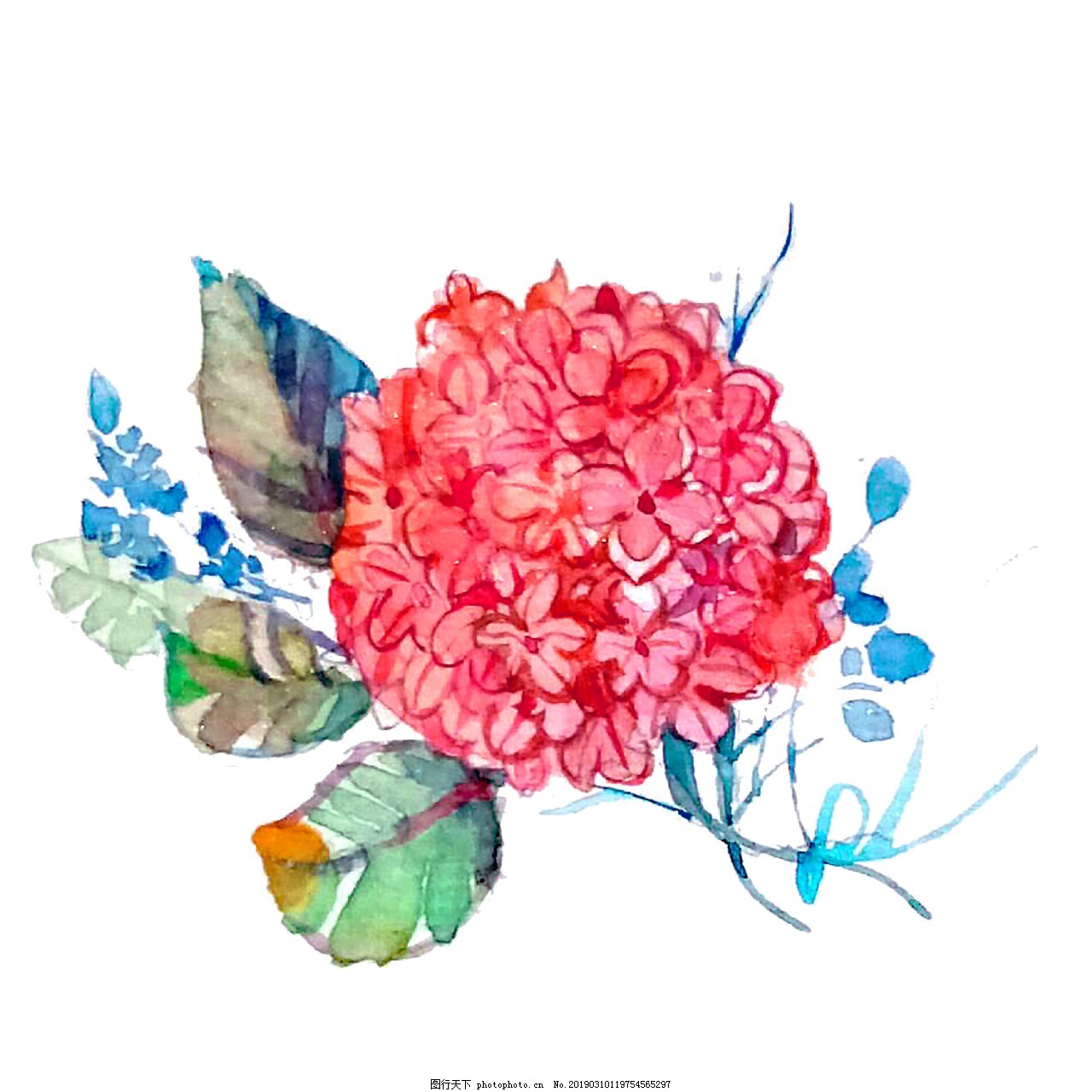 粉色绣球花紫阳花花卉唯美png图片 装饰图案 设计元素 图行天下素材网