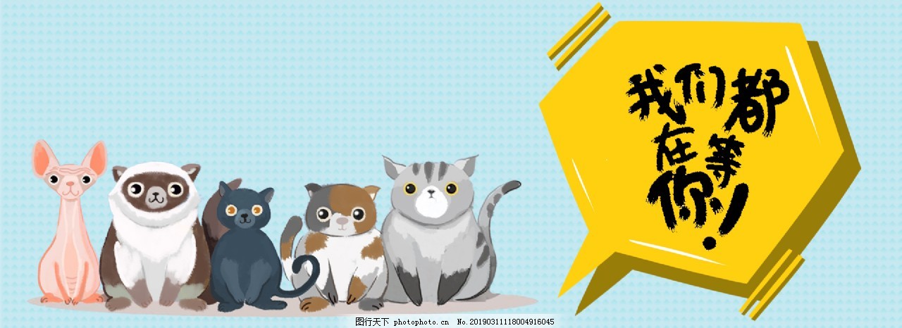 卡通风小清新宠物猫狗背景图片 Banner背景 底纹边框 图行天下素材网
