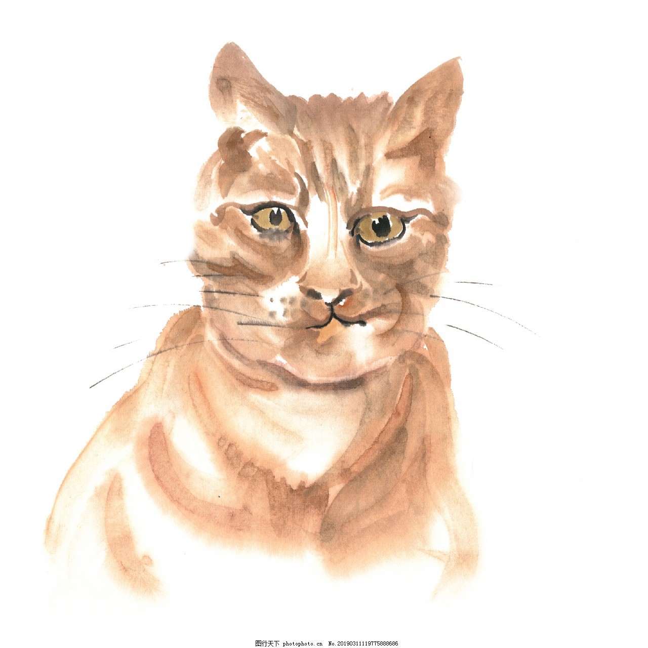 可爱的小猫水墨画png免抠素材图片 装饰图案 设计元素 图行天下素材网