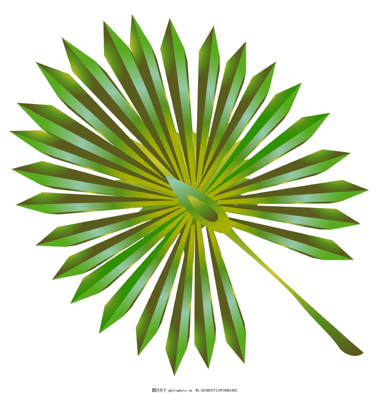 扇状剑形树叶插画图片 装饰图案 设计元素 图行天下素材网