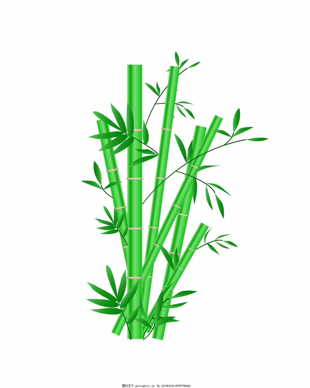 【干货分享】-植物效果图画法