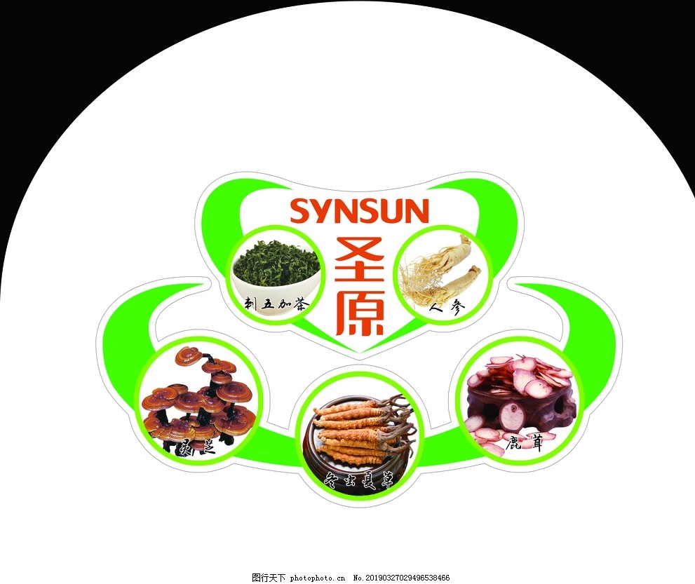 圣原中医,中药,人参,鹿茸,刺五加茶,灵芝,广告设计