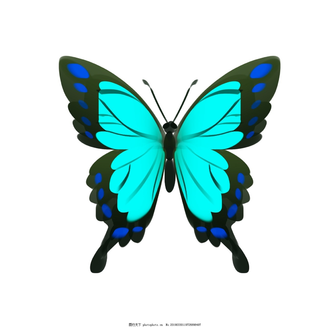 1000 多张免费的“蓝色蝴蝶”和“蝴蝶”照片 - Pixabay